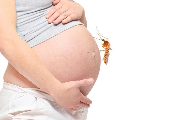 Symptoms and Treatment of Dengue in Pregnancy