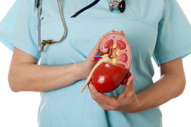 Chronic Kidney Disease – An Overview