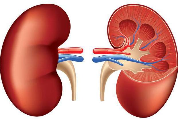 Symptoms of Kidney Stones