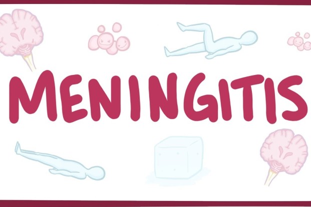 What are the two main types of Meningitis & their symptoms