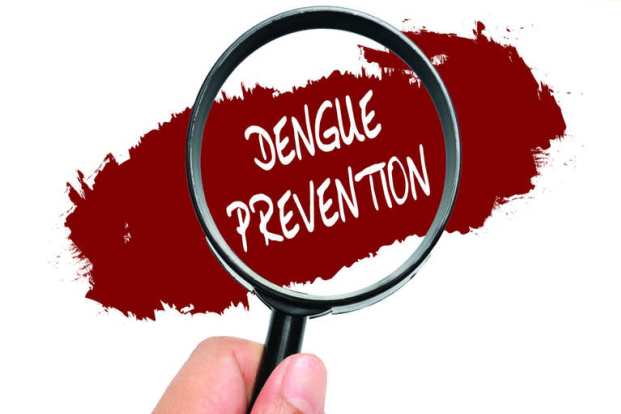 Prevention from Dengue