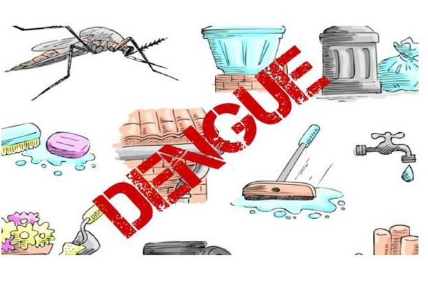 Symptoms and Treatment of Dengue