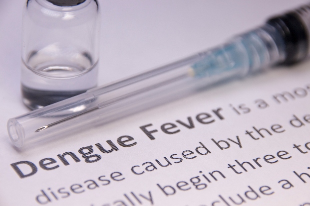 Management of Dengue Fever