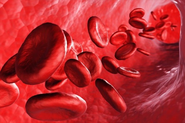 Common Blood Conditions: An Overview