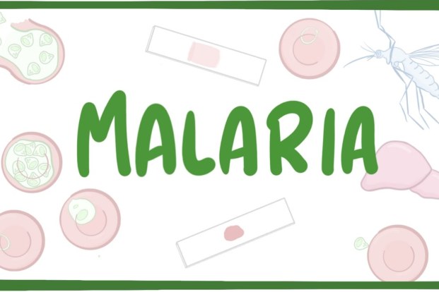 How Do Doctors Test for Malaria?
