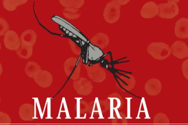 Know About Malaria