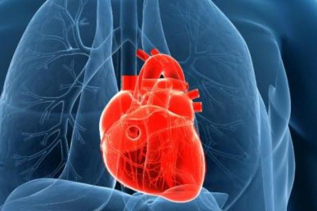 Test to Help Diagnose Aortic Valve Insufficiency