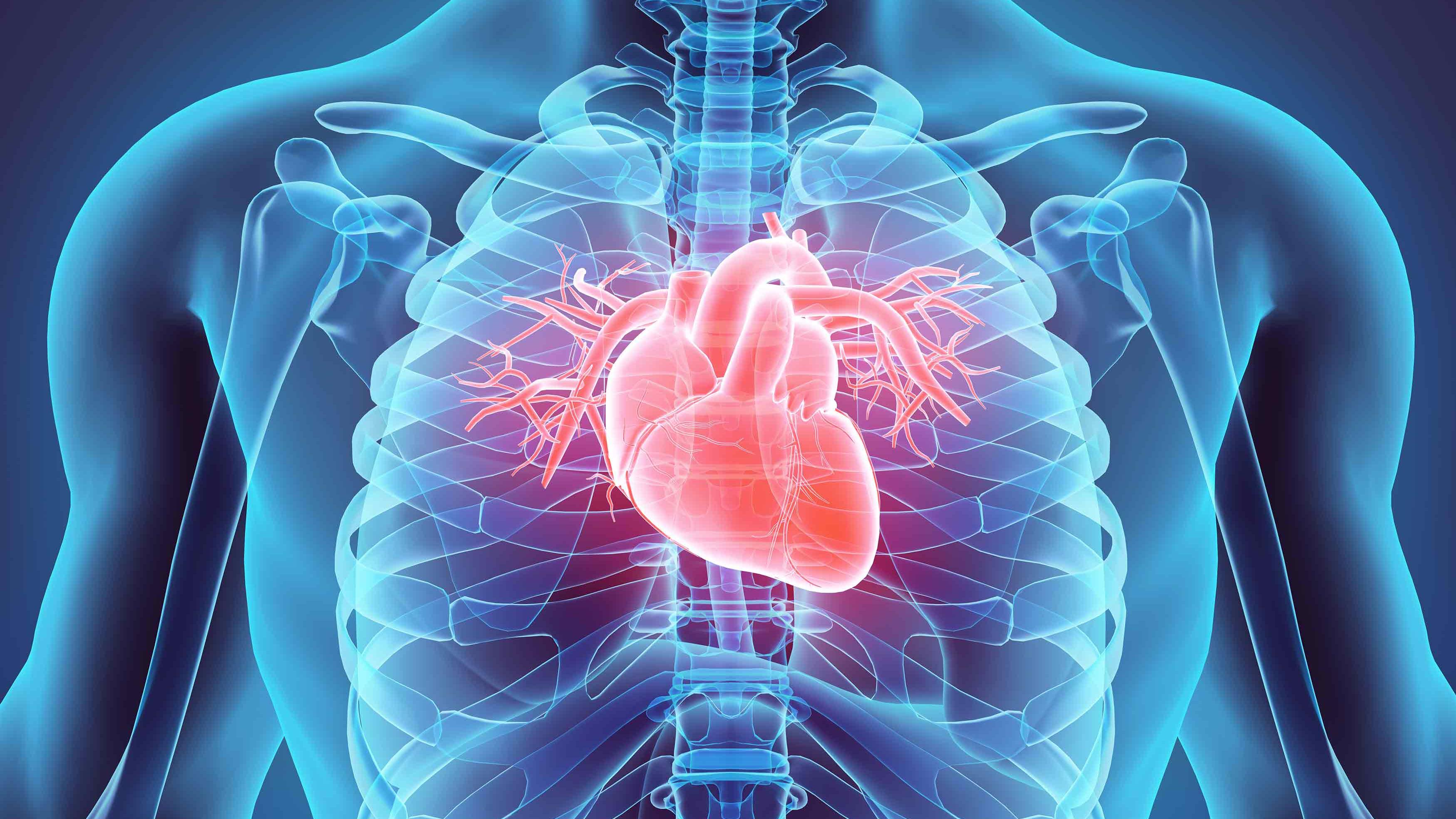 Coronavirus in Heart Infection