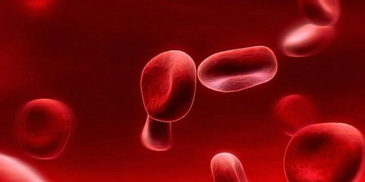 Platelet Rich Plasma (PRP)