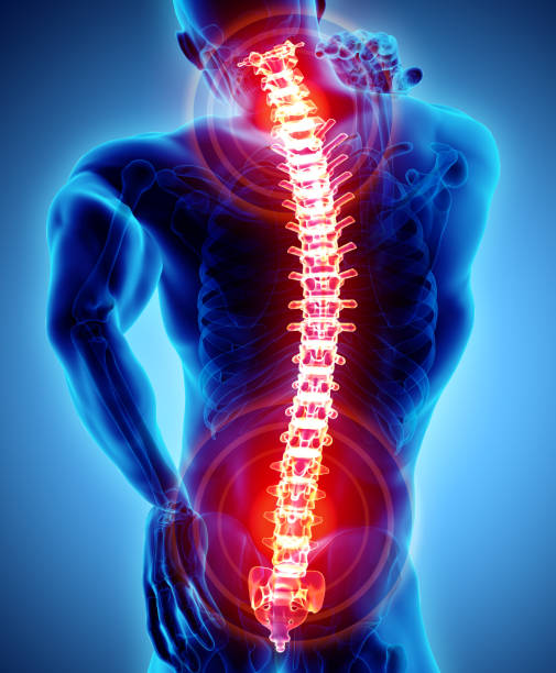 Back Pain & physiotherapy Treatment