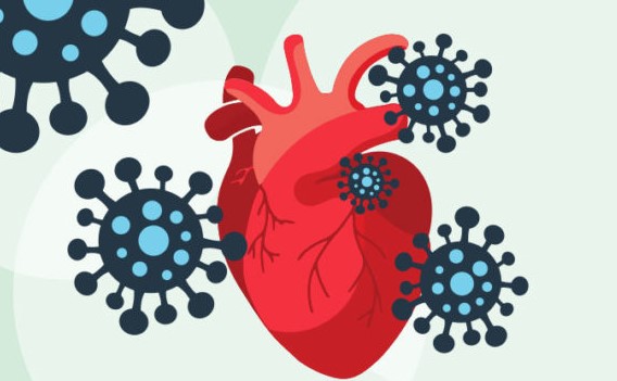 What heart patients should know about corona virus?