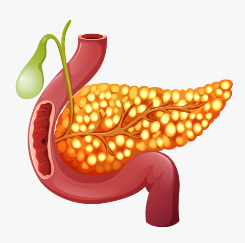 Chronic Pancreatitis and the role of early Surgery