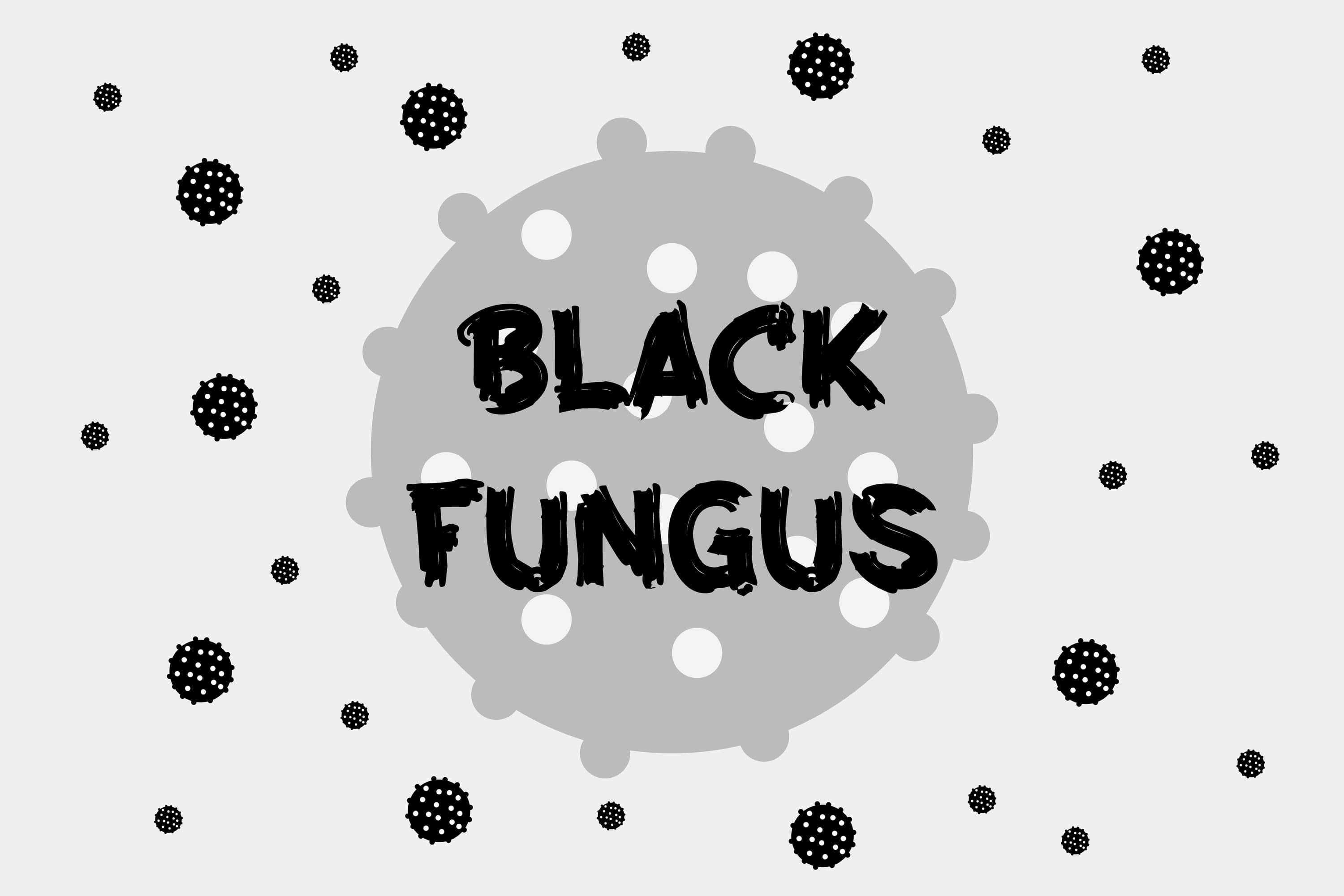 Black Fungus’ or medically ‘Mucormycosis’