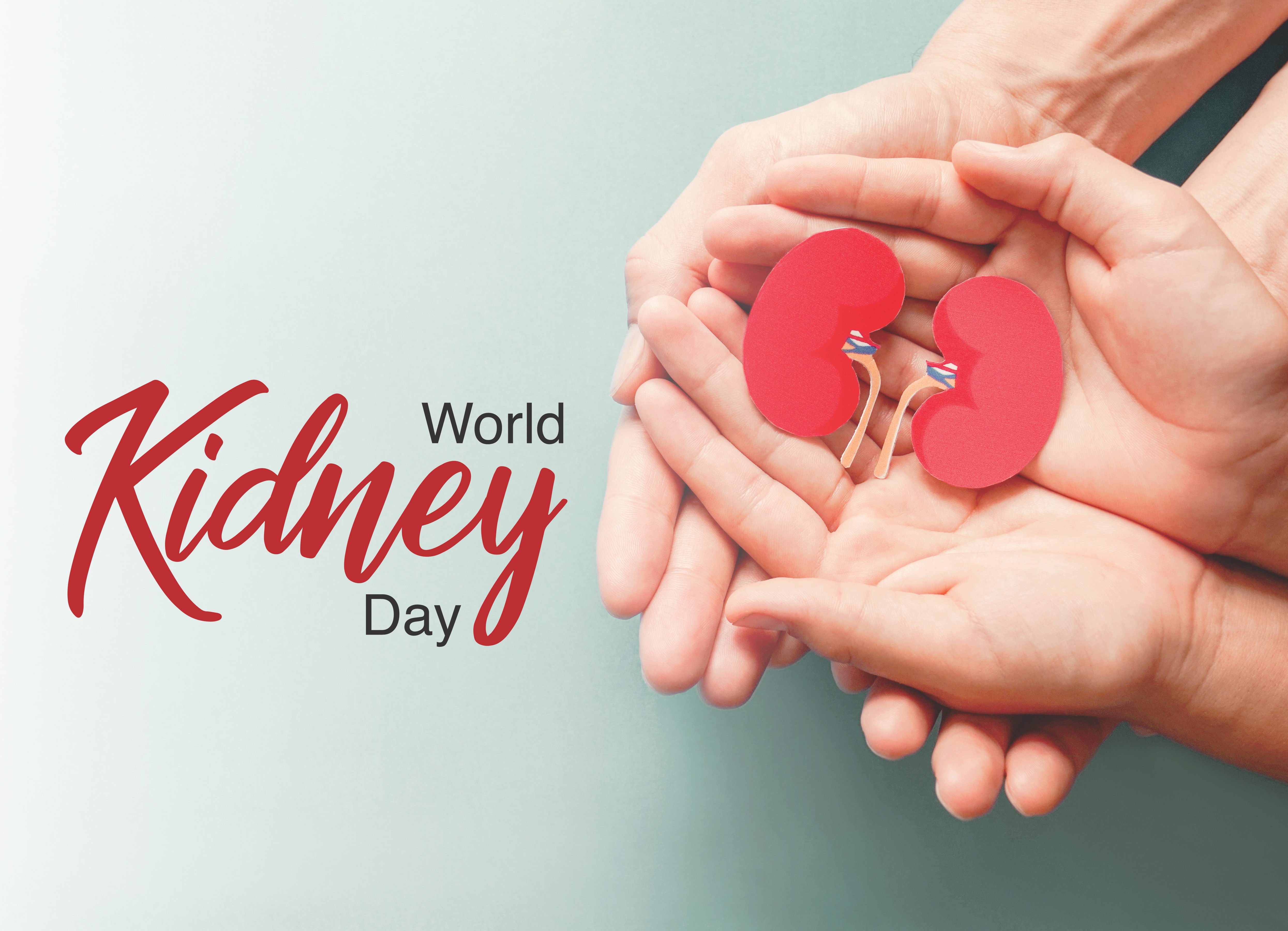 World Kidney Day 2022: Kidney Health For All